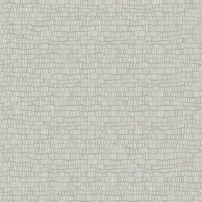 Skin Wallpaper Wallpaper Antonina Vella Double Roll Light Grey 