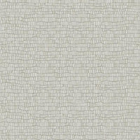 Skin Wallpaper Wallpaper Antonina Vella Double Roll Light Grey 