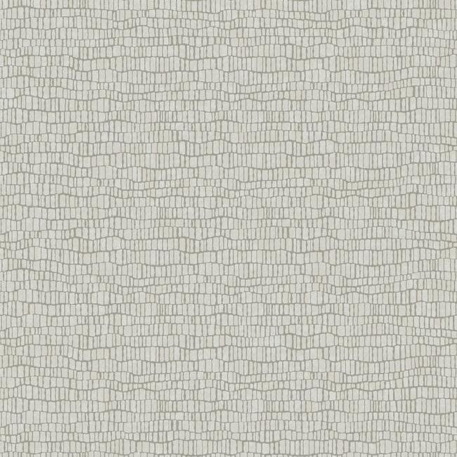 Skin Wallpaper Wallpaper Antonina Vella Double Roll Light Grey 