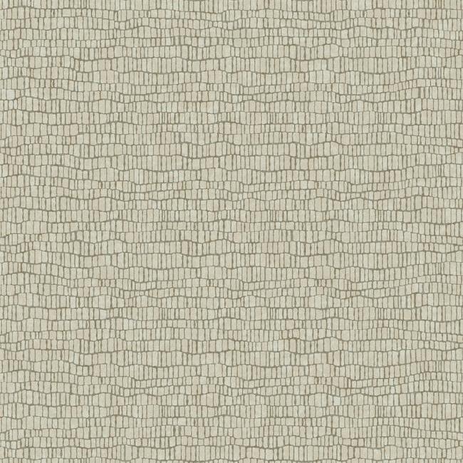 Skin Wallpaper Wallpaper Antonina Vella Double Roll Beige 