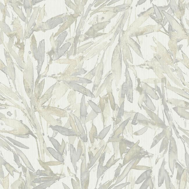 Rainforest Leaves Wallpaper Wallpaper Antonina Vella Double Roll Cream/Grey 