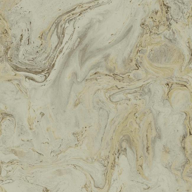 Oil & Marble Wallpaper Wallpaper Antonina Vella Double Roll Mink/Gold 