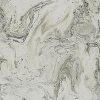 Oil & Marble Wallpaper Wallpaper Antonina Vella Double Roll Grey/Glint 