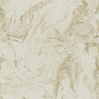 Oil & Marble Wallpaper Wallpaper Antonina Vella Double Roll Blush/Glint 