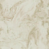 Oil & Marble Wallpaper Wallpaper Antonina Vella Double Roll Blush/Glint 