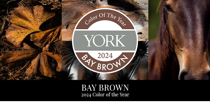 2024 Color of the Year